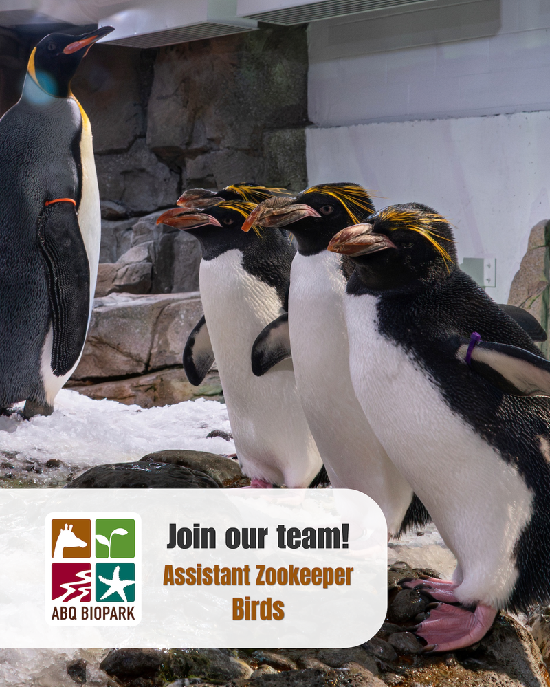 Job Opportunity at the ABQ BioPark: Assistant Zookeeper II (Birds)