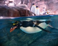 Job Opportunity at the ABQ BioPark: Site Supervisor III