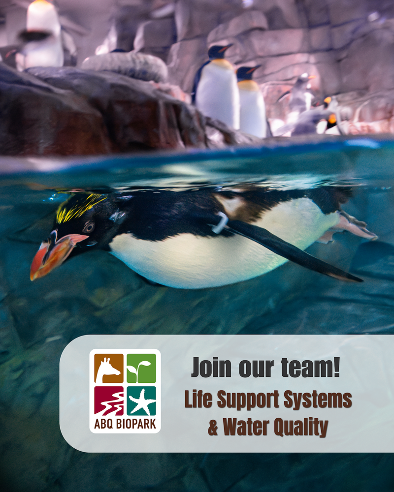 Job Opportunity at the ABQ BioPark: Site Supervisor III