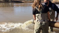 ABQ BioPark Releases Silvery Minnows into Rio Grande