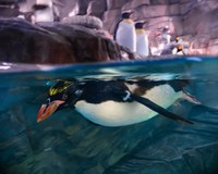 ABQ BioPark Resumes Winter Hours