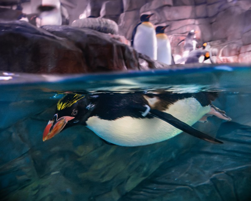 ABQ BioPark Resumes Winter Hours