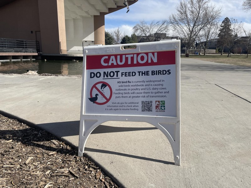 ABQ BioPark temporarily shifting many birds indoors to protect from Avian Flu