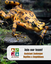 Job Opportunity at the ABQ BioPark:  Assistant Zookeeper II (Reptiles and Amphibians)