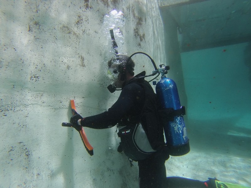 Below the Surface Below the Surface