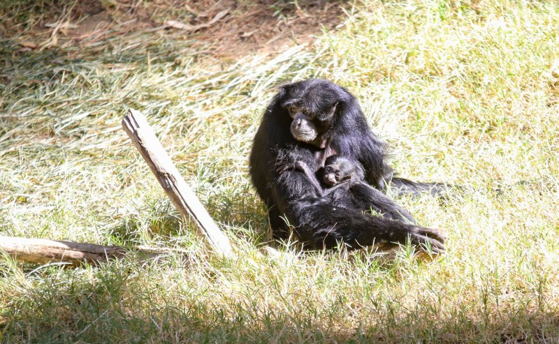 BioPark Alum Becomes a Father BioPark Alum Becomes a Father