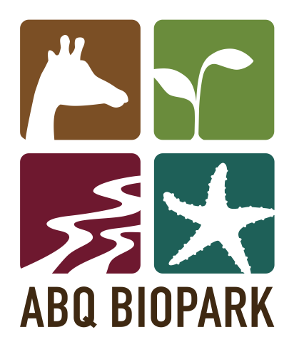 Boo! Top 10 Spookiest (Coolest) Animals At the ABQ BioPark Boo! Top 10 Spookiest (Coolest) Animals At the ABQ BioPark