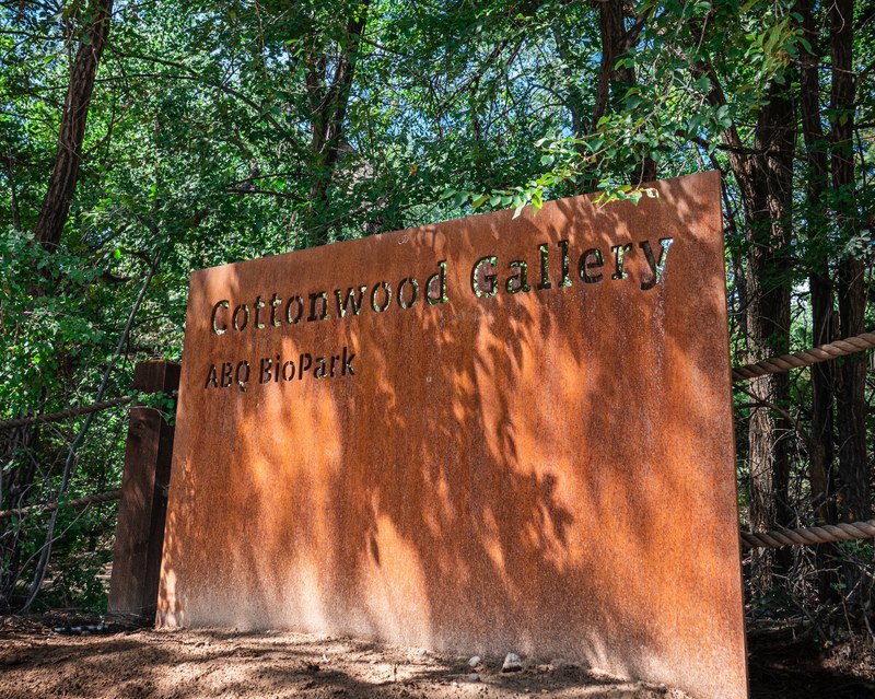 Discover Native Flora and Fauna at Cottonwood Gallery Discover Native Flora and Fauna at Cottonwood Gallery