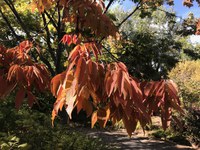 Fall and Winter Busy for Gardeners