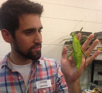 For the Love of the Bugs