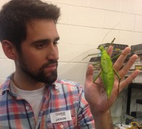 For the Love of the Bugs
