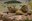 Get to Know the ABQ BioPark's Lions