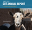 GRT’s Next Chapter: Gorillas Take Center Stage in ABQ BioPark’s Newest Transformation