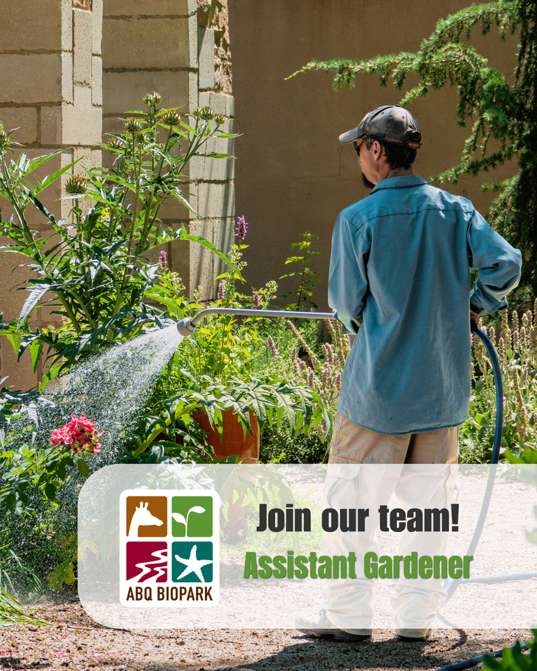Job Opportunity at the ABQ BioPark:  Assistant Gardener