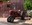 Job Opportunity at the ABQ BioPark:  Mechanic I