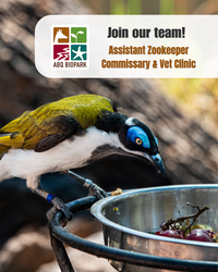 Job Opportunity at the ABQ BioPark:  Assistant Zookeeper II (Commissary)