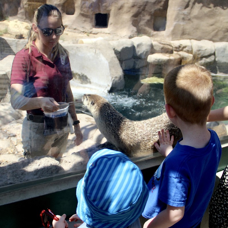 Join the Adventure! Registration Open for ABQ BioPark’s Spring Break Camps Join the Adventure! Registration Open for ABQ BioPark’s Spring Break Camps