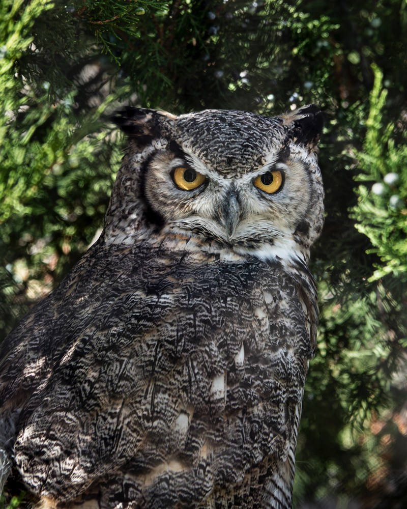 Job Opportunity at the ABQ BioPark: Lead Teaching Assistant (Family Programs)