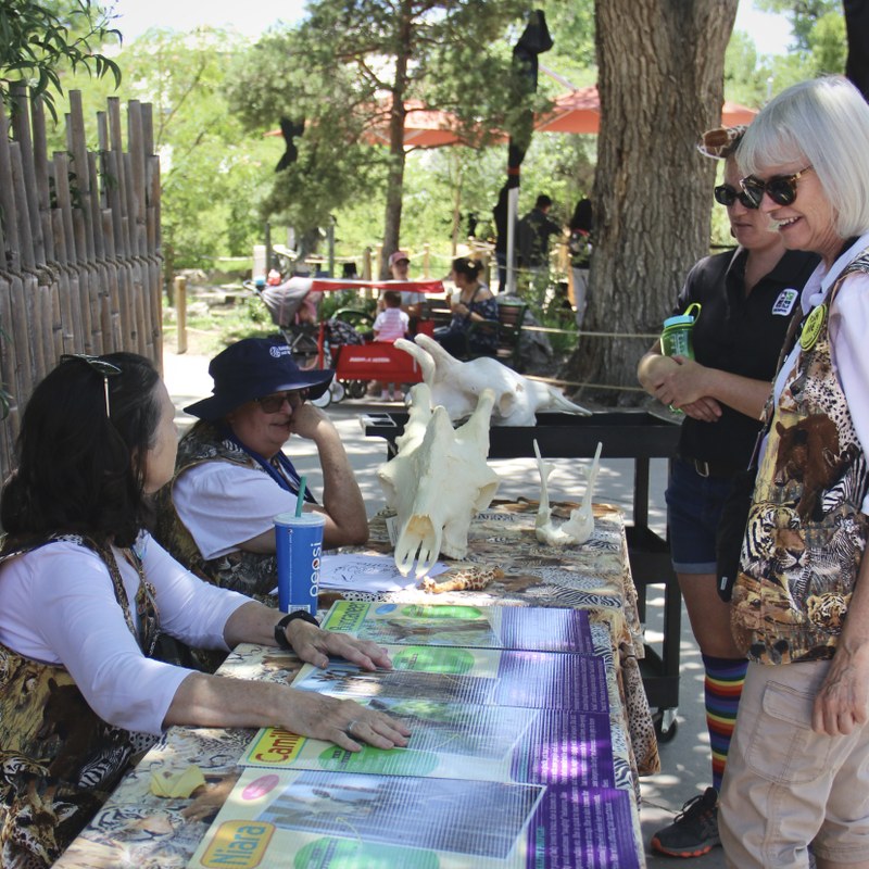 Job Opportunity at the ABQ BioPark:  Lead Teaching Assistant (Volunteer Programs)