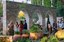 Lebanon and Beyond Garden Now Open at the ABQ BioPark