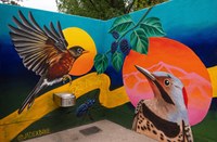 New Avian Murals Unite Art and Advocacy at ABQ BioPark Zoo