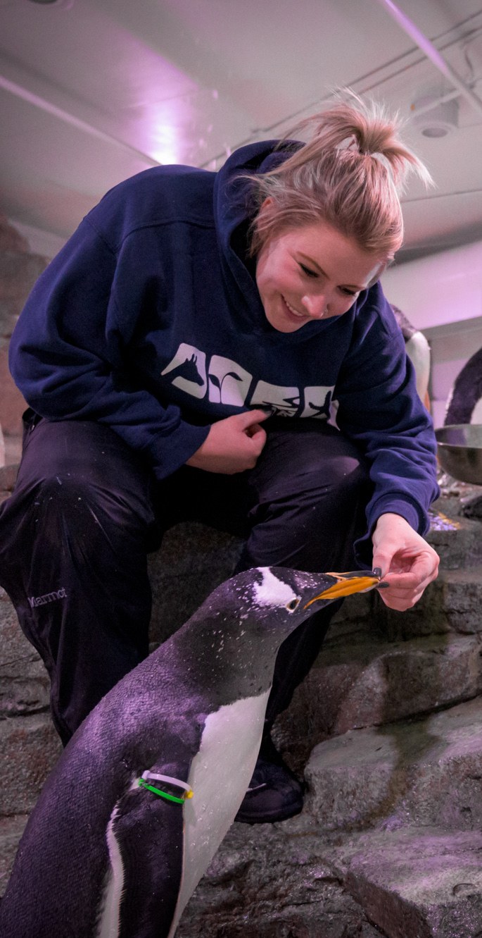 New Certification Program at the ABQ BioPark Will Offer Career Advancement, Ensure Continued Excellence in Animal Care New Certification Program at the ABQ BioPark Will Offer Career Advancement, Ensure Continued Excellence in Animal Care