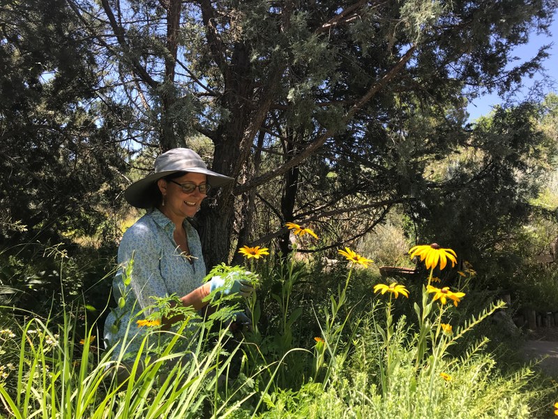 New Curator of Plants Brings Fresh Ideas New Curator of Plants Brings Fresh Ideas