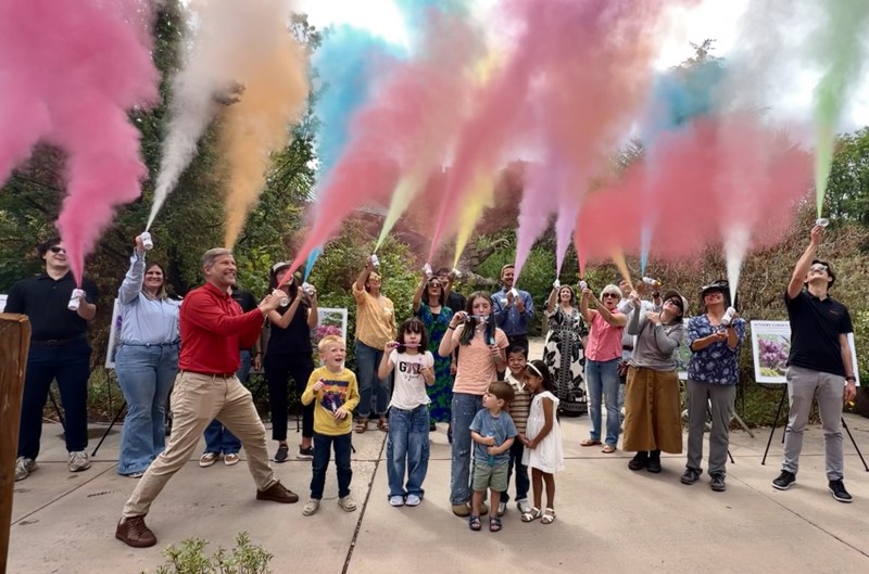 Dreamy Upgrades Underway at Botanic Garden