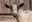 Recently Remodeled Heritage Farm Highlights Sustainable Living and Natural Charm