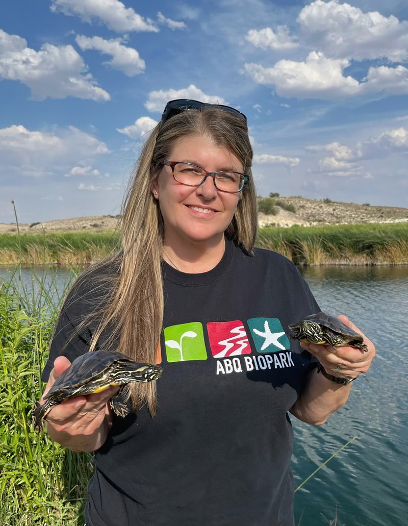 ABQ BioPark releases three Rio Grande cooters near Carlsbad, New Mexico ABQ BioPark releases three Rio Grande cooters near Carlsbad, New Mexico