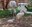 Three Times the Charm: ABQ BioPark Welcomes Trio of Fuzzy Flamingo Chicks