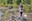 morning-walk.jpg