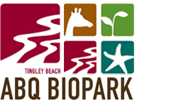 Tingley Beach Logo
