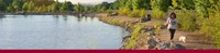 tingley paths banner tingley paths banner