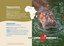 id-hippopotamus-sponsor1.jpg