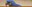 ZooBirdsofAmericasBanner
