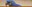 ZooBirdsofAmericasBanner
