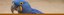 ZooBirdsofAmericasBanner
