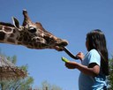 GIRAFFE-girlbyMikeK.jpg