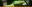 Snake Reptile Banner