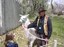 SpringWildlifeSafari012small.jpg