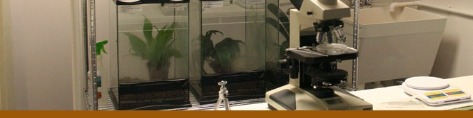 Conservation_Lab_Banner