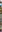 Zoo Birthday Sidebar