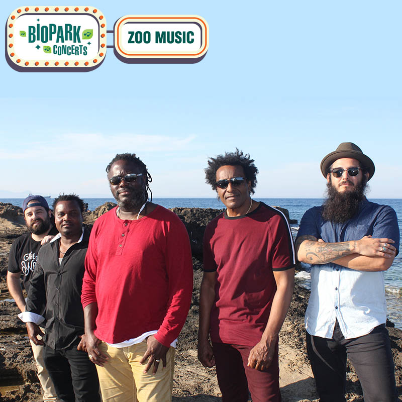 2022 Original Wailers - Zoo Music 2 - 800