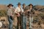 Turquoise Steel
