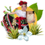 Hispanic Heritage Aria Layout Graphic