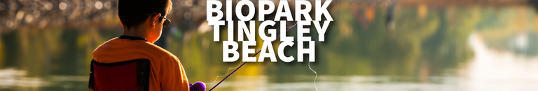 CABQ-Events-Website-2023-Header-TINGLEY-BEACH-1200