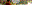 CABQ-Events-Website-2023-Header-TINGLEY-BEACH-1200