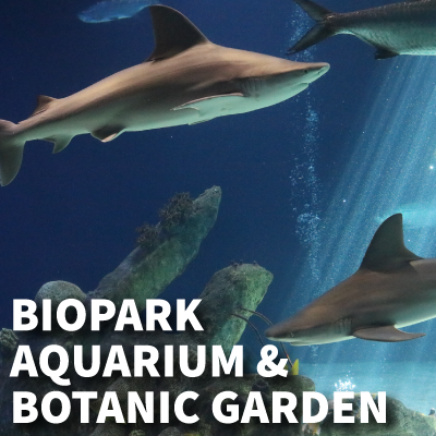 Get tickets for the Aquarium and Botanic Garden.