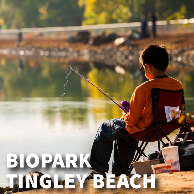 Get tickets for Tingley Beach.